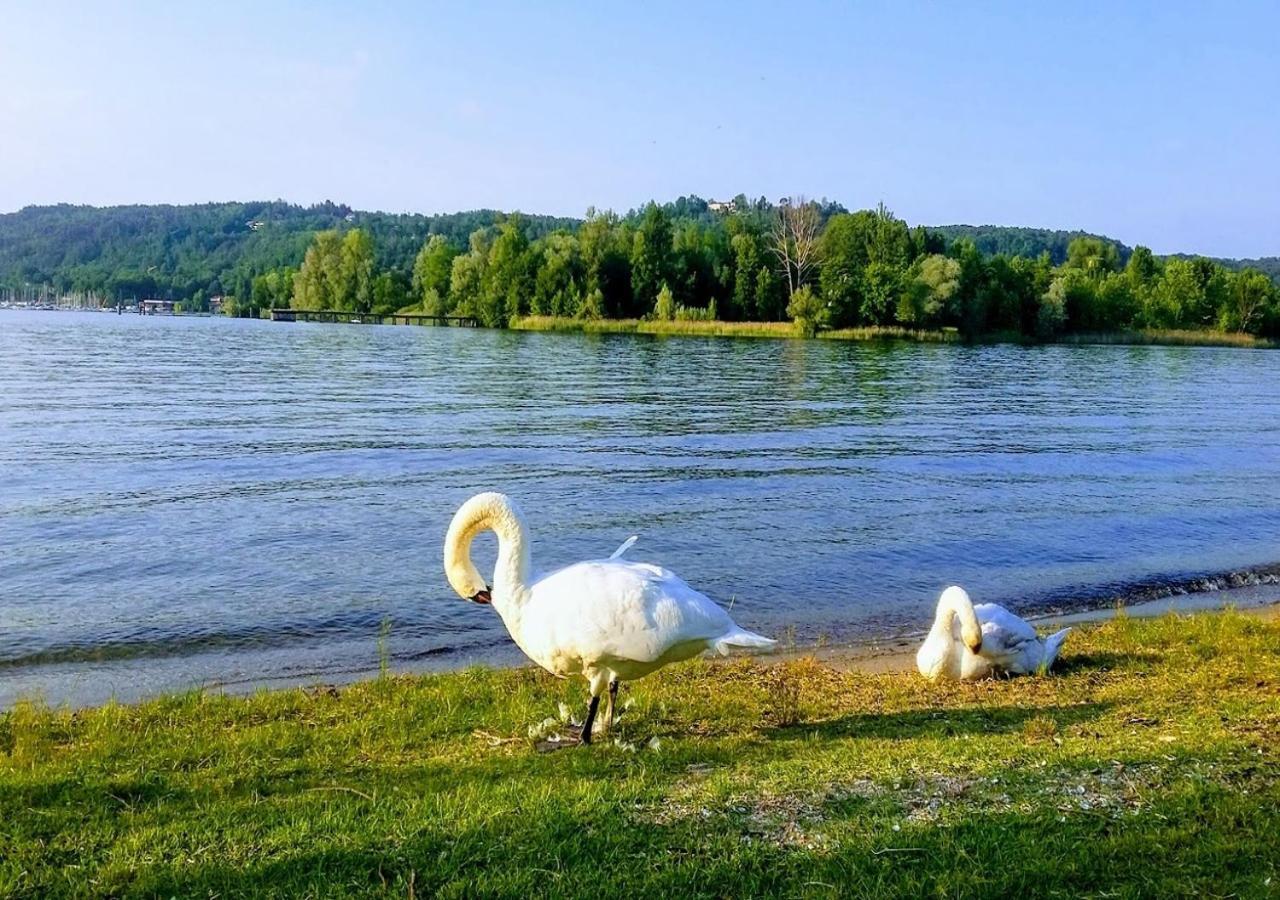 Corte Del Sole Дормеллетто Экстерьер фото